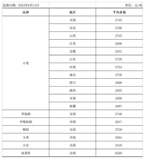 糧食市場(chǎng)迎來新發(fā)展趨勢(shì)，中方呼吁完善全球糧農(nóng)治理體系